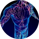 Full-Body Therapy Method